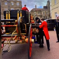 Exhiben a Gertz durante un desfile real en Londres; lo critican en redes