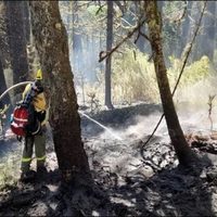 Extinguieron todos los focos de incendio provocados por tormentas en el Parque Nacional Lanín