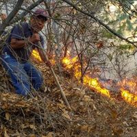 Reportan ocho muertos y  tres desaparecidos por incendio forestal en la mixteca