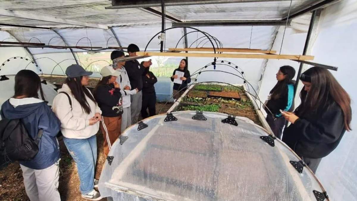 Los estudiantes recorrieron empresas, viveros, viñedos, un aserradero, escuelas y el Parque Nacional Lanín. Fuente: (Gobierno de Neuquén)