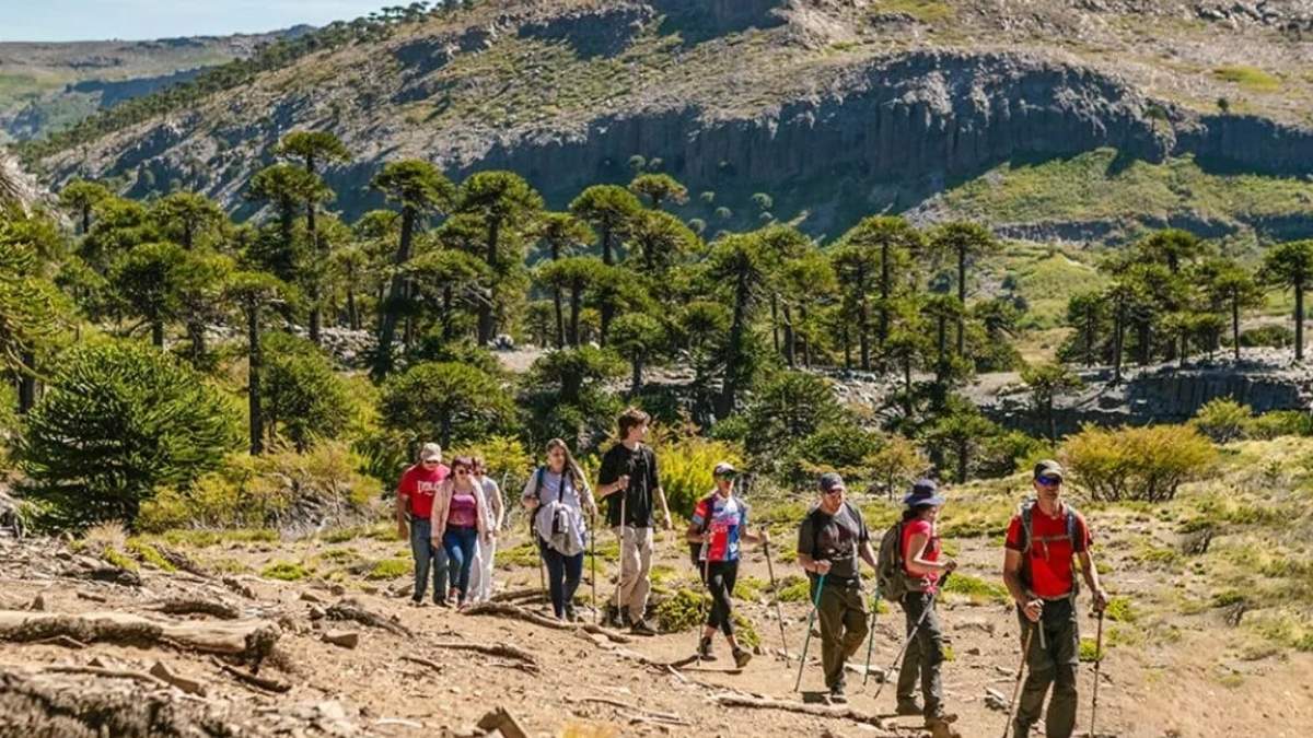 La formación prevé la realización de diez módulos y prácticas en territorio. Fuente: (Gobierno de Neuquén)