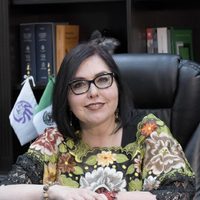 "Asuman su responsabilidad": Magistrada culpa al Senado por candidaturas vinculadas al narco