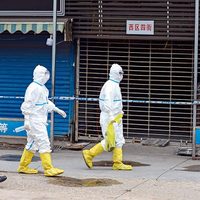 El origen de la pandemia de coronavirus, aún en la oscuridad
