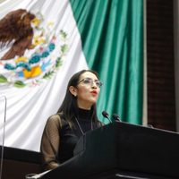 Morena propone reducir el número de legisladores en el Congreso de la Unión y legislaturas locales