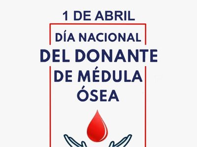 Por qué hoy se celebra el Día del Donante de Médula Ósea y cuántas vidas se salvan gracias a ellos