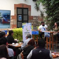 Jueza otorga medidas cautelares a favor de ballenas contra buques metaneros del proyecto Saguaro