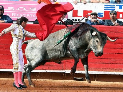 Tribunal confirma suspensión de corridas de toros en la Plaza México