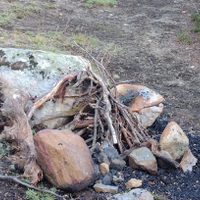 No aprenden más: detectaron 50 fogones en lugares prohibidos dentro del Parque Nacional Nahuel Huapi