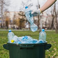 No tires las botellas plásticas y construí este fácil dispositivo para bajar los limones de tu limonero