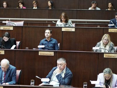 Diputados provinciales del MPN le piden a Javier Milei que se retracte de sus dichos contra Pedro Sánchez