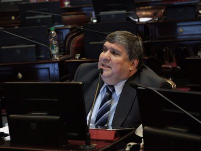 ¿Incondicional? José Mayans habló del apoyo a Fernández en la lucha contra el coronavirus