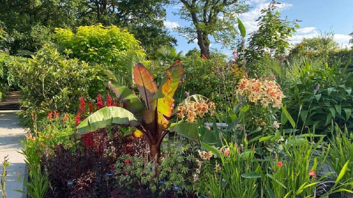 Plantas. Fuente: (Instagram)