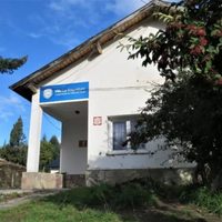Investigan a la exsecretaria de Desarrollo Humano de Villa La Angostura por agresión a una adolescente en un refugio