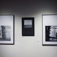 Los sueños fotográficos de Rodney Smith en el Franz Mayer