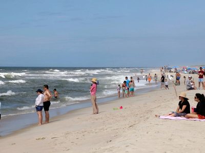 Esto harán en Nueva York ante la creciente presencia de tiburones en sus playas