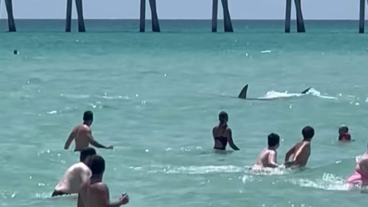 Bañistas en una playa de Florida