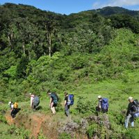 Turismo de Naturaleza: la opción más viable a la que apuesta el sector