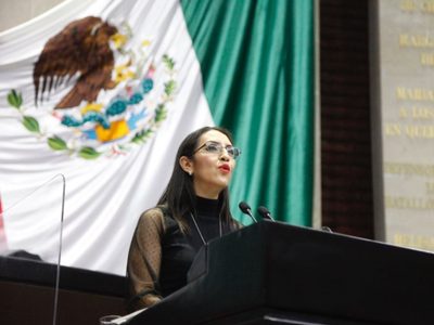 Morena propone reducir el número de legisladores en el Congreso de la Unión y legislaturas locales