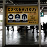 Impactante descenso de casos por coronavirus en el país