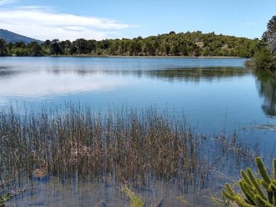 La laguna escondida al norte de Neuquén: un espejo de agua volcánico al que solo llegan los más aventureros
