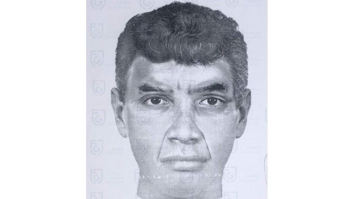 Retrato hablado del presunto violador