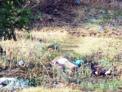 Ejecutan a tres personas en Michoacán