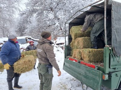 Gendarmería continúa con la asistencia tras el temporal de nieve