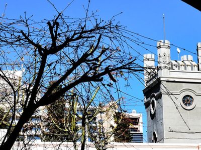 Neuquén: Habrá asueto por el Día del Trabajador del Estado