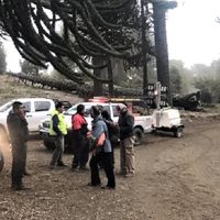 Cruzó la frontera de manera ilegal, se perdió en la cordillera y fue rescatado