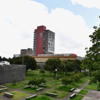 UNAM lanza convocatoria para elegir nuevo rector; estos son los requisitos