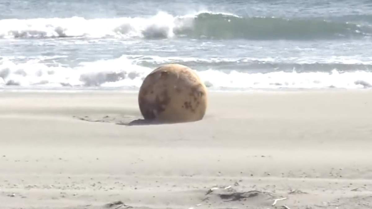 Esfera misteriosa. Fuente: (NHK)