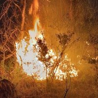 El incendio en Cuesta del Ternero está "incontrolable" y afectó cerca de 1.500 hectáreas