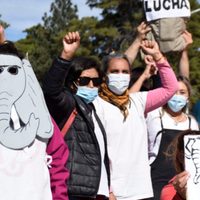 El personal de Salud autoconvocado rechaza el paro de ATE