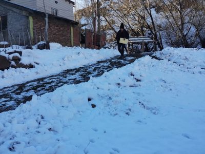 Por el temporal se entregaron 60 mil metros cúbicos de leña y bonos de gas en el interior de la provincia