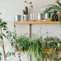 Con cosas recicladas que tenés en casa: creá este portamacetas con onda rústica y vintage