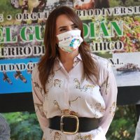 Morena, PT, Panal y PVEM buscarán juntos la gubernatura de Nuevo León