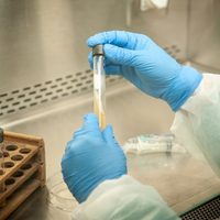 El INTA también trabajará en proyectos para responder a la pandemia de coronavirus