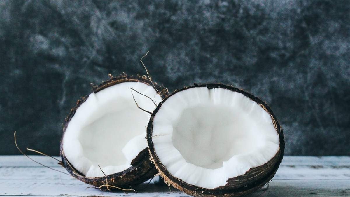 Cáscara de coco. Fuente: (X)