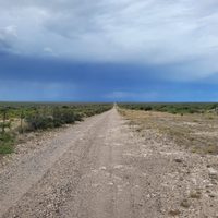 Aseguran que el norte de Río Negro hay una sequía histórica