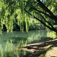 Neuquén Capital tendría un parque ecológico: los detalles