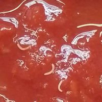 Encontraron gusanos en una salsa de tomate mendocina