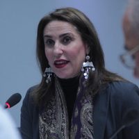 Relatores de ONU y CIDH llaman a fortalecer la protección ambiental