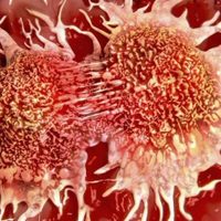 Científicos hallan mecanismo que explica como una célula cancerosa se convierte en una normal