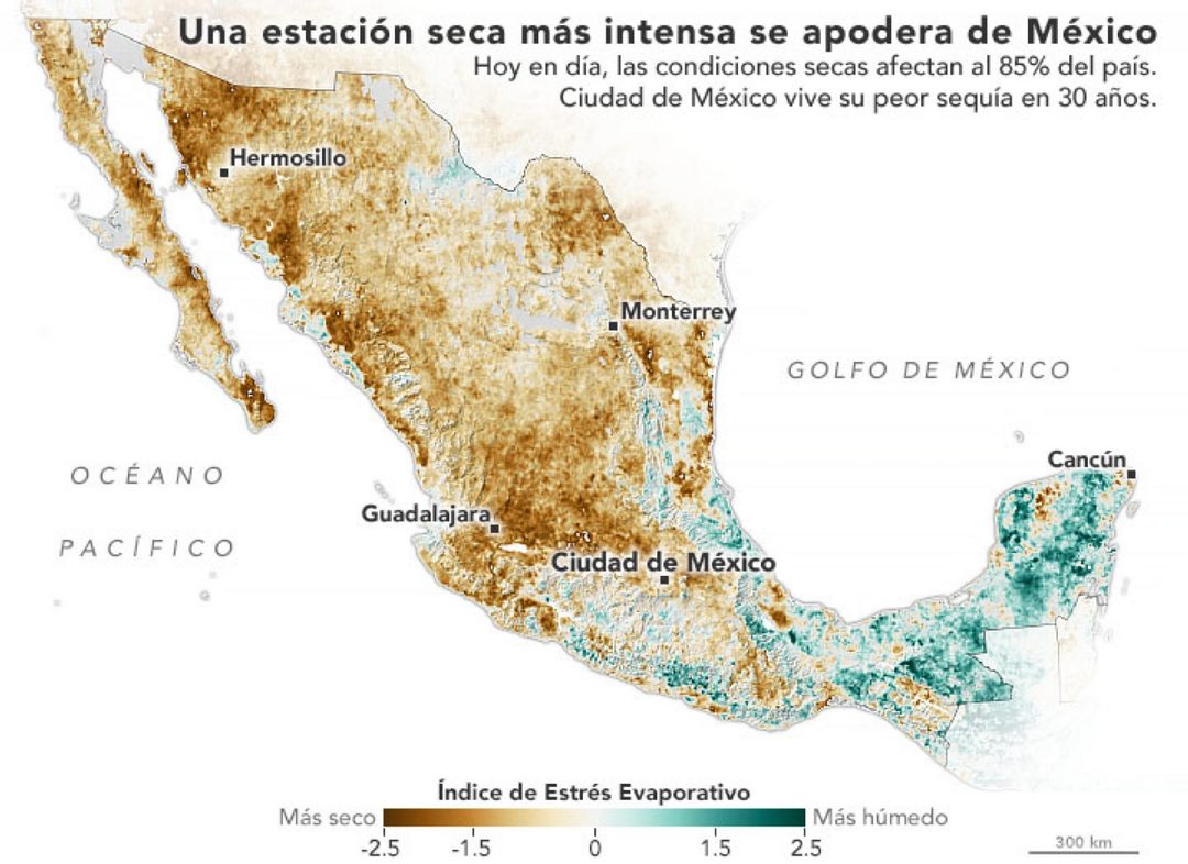 estres