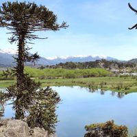 ¡Buenas noticias!: Llegó la solución para Villa Pehuenia y su turismo