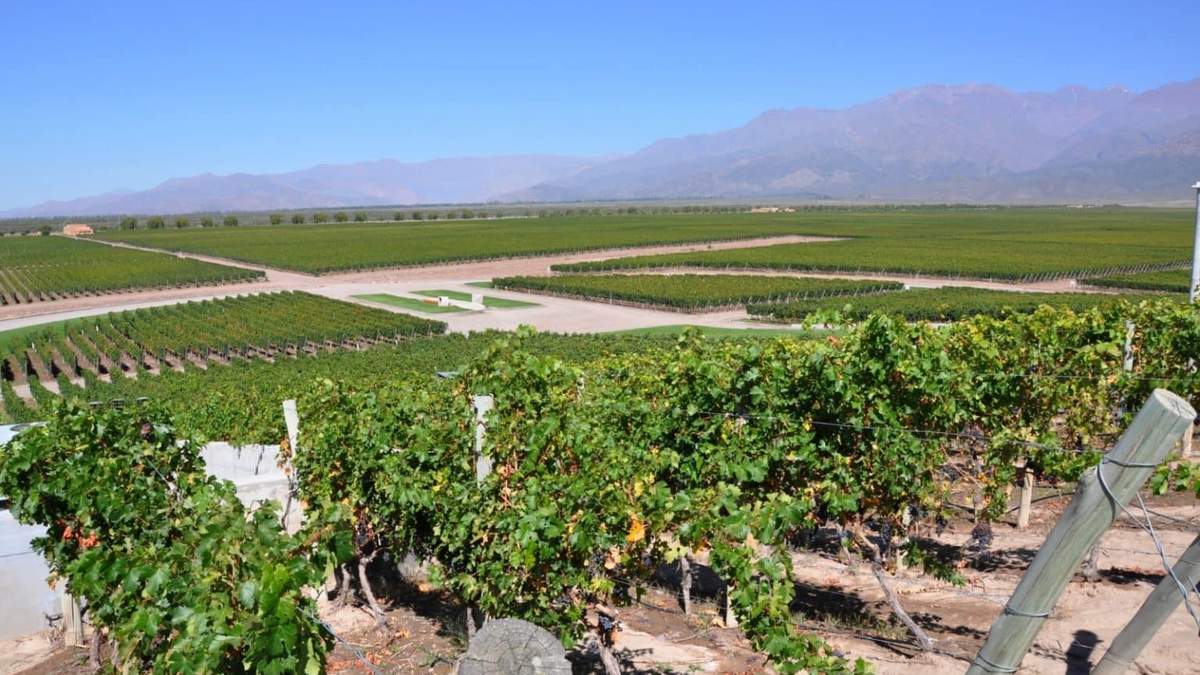 Se espera una semana primaveral