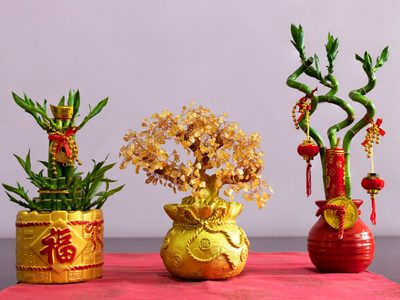 4 plantas que cambiarán tu fortuna este 2021