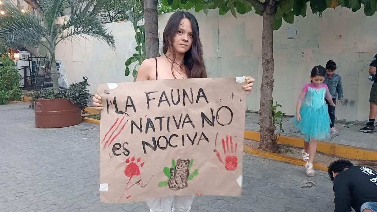 El rechazo contra el contrato del Tren Maya