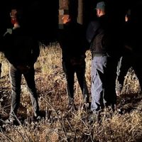 Detuvieron a cuatro cazadores furtivos con prontuario por drogas, en el momento que mataban una vaca
