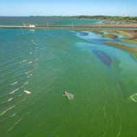Cianobacterias: aumentan las alertas en lagunas y ríos de la provincia de Buenos Aires